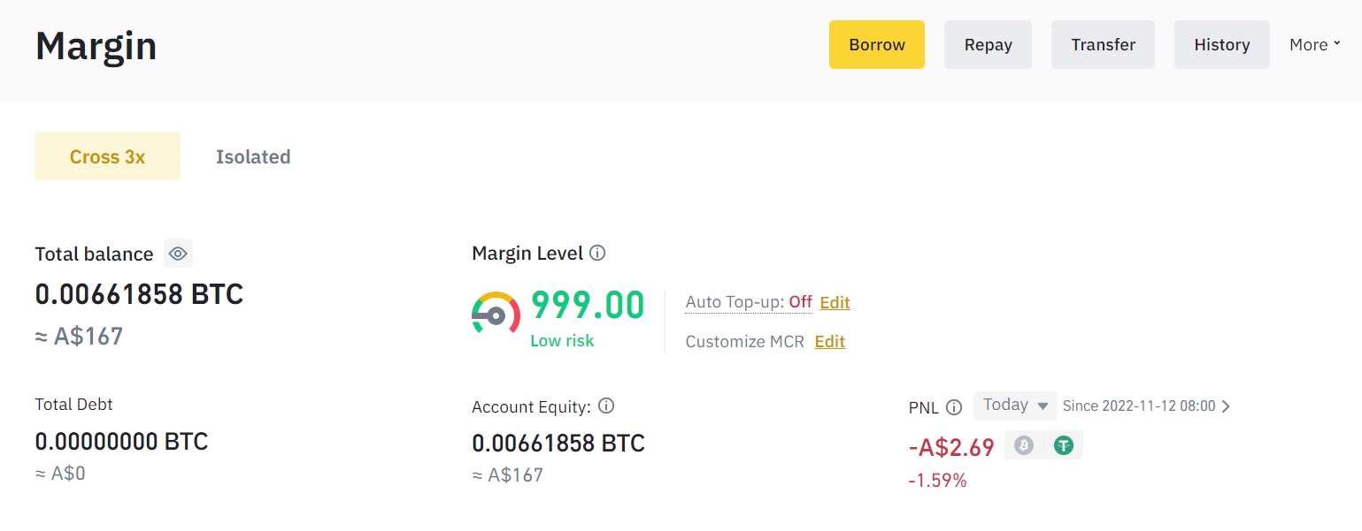 Binance margin dashboard screenshot