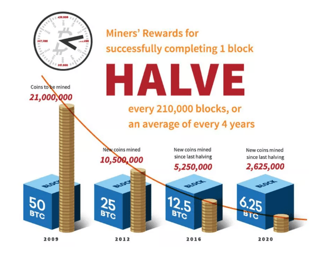 Bitcoin block rewards. Source: Investopedia.com.