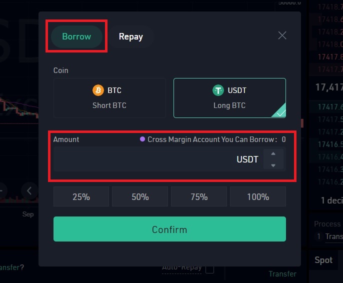 Borrow funds on Margin account