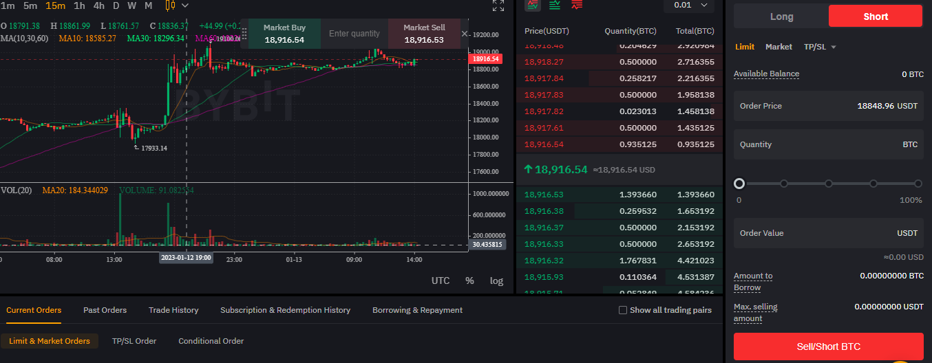 Enter short position using margin