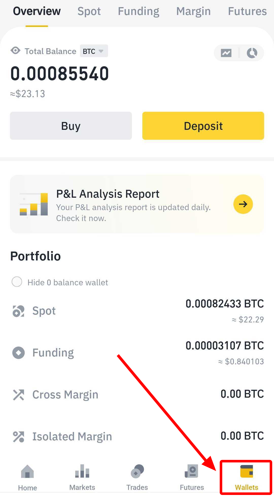 Binance app wallet section.