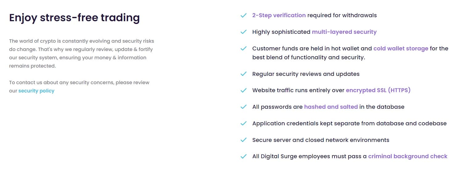 digital surge security measures